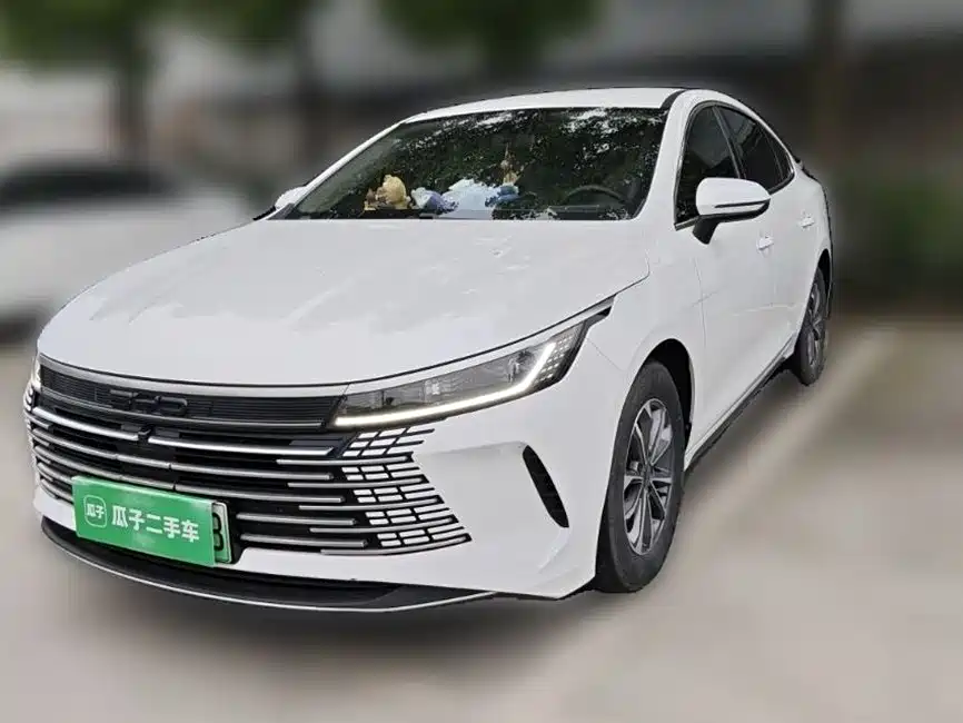 BYD Destroyer 05 2024 — фото 24
