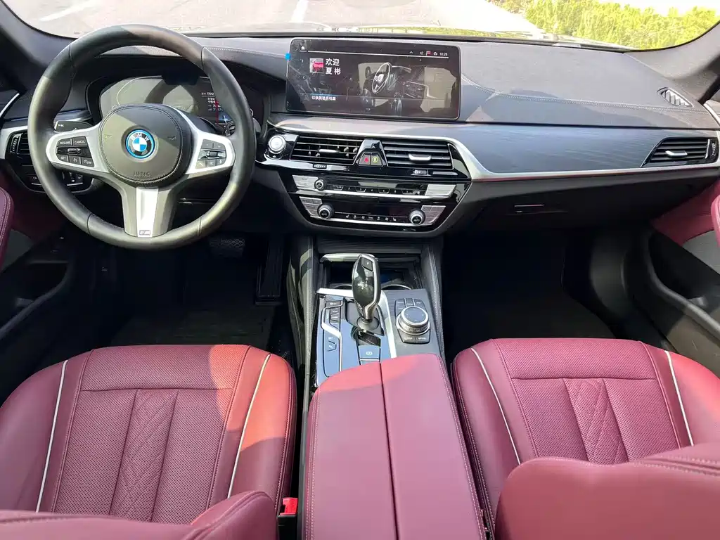 BMW 5 Series New Energy 2022 — фото 10