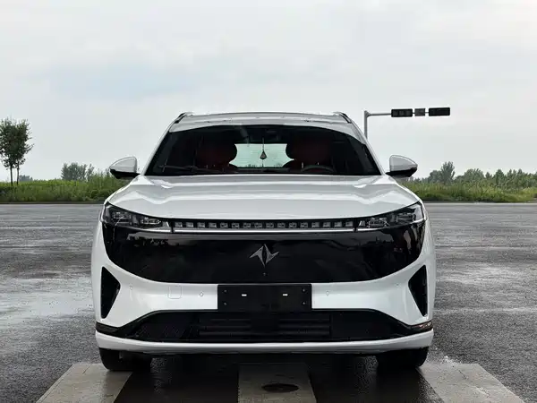 Dongfeng e008 2024