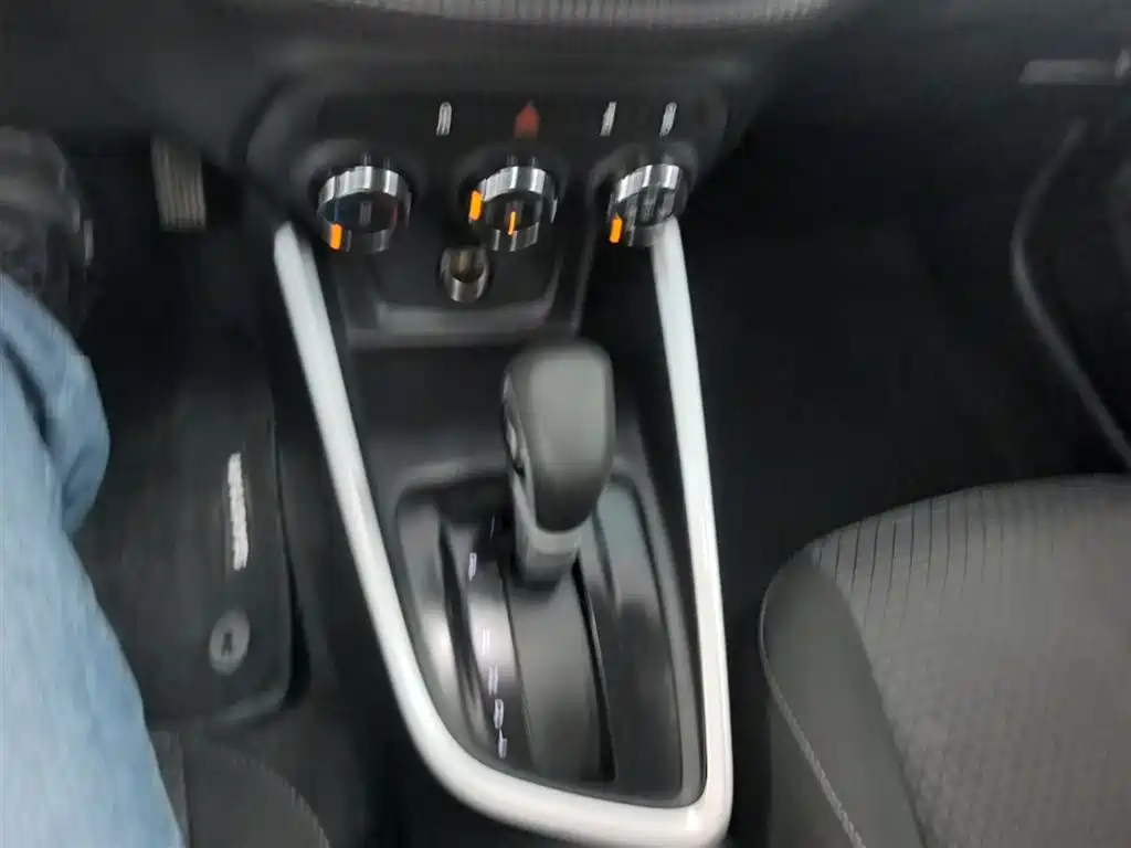 Chevrolet Cavalier 2020 — фото 14