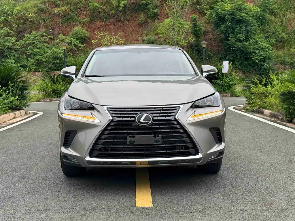 Lexus NX 2019 — фото 2