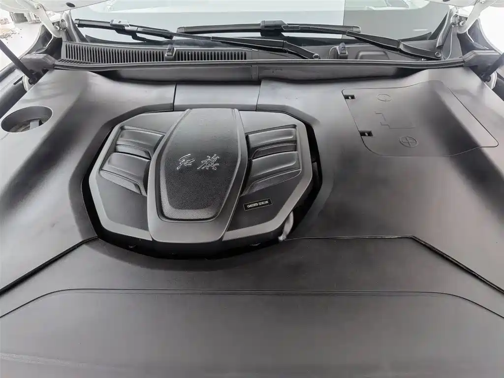 Hongqi HS5 2020