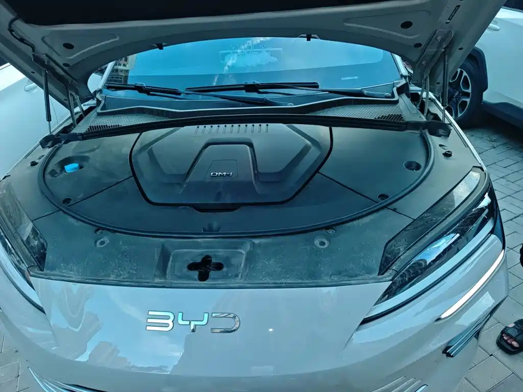 BYD Song PLUS New Energy 2024 — фото 11