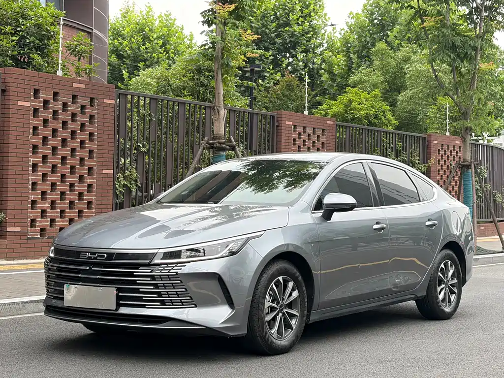 BYD Destroyer 05 2024 — фото 1