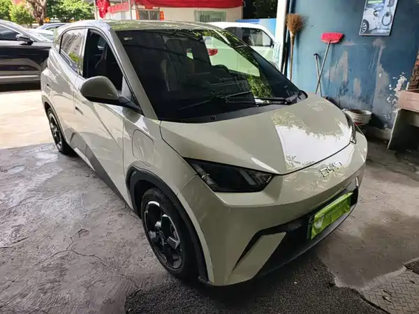 BYD Seagull 2024