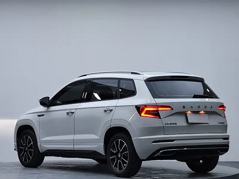 Skoda Karoq 2023 — фото 5
