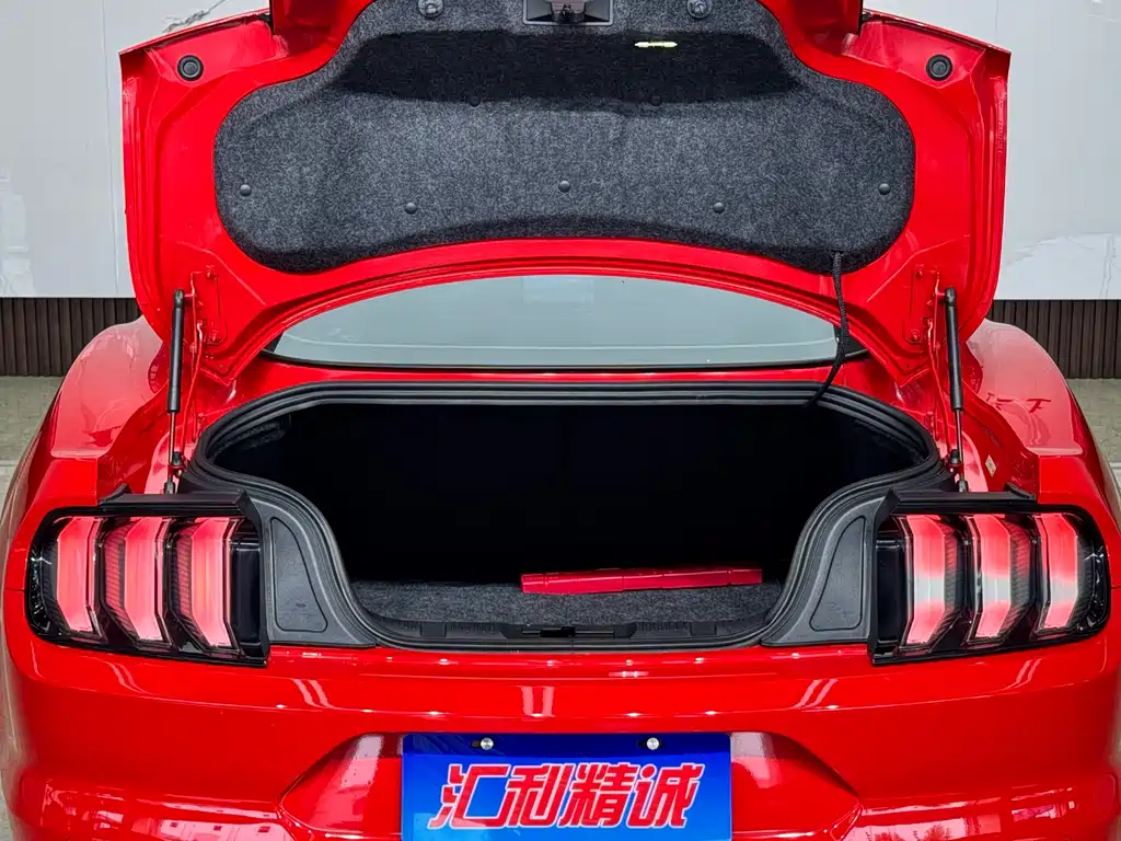 Ford Mustang 2020 — фото 19