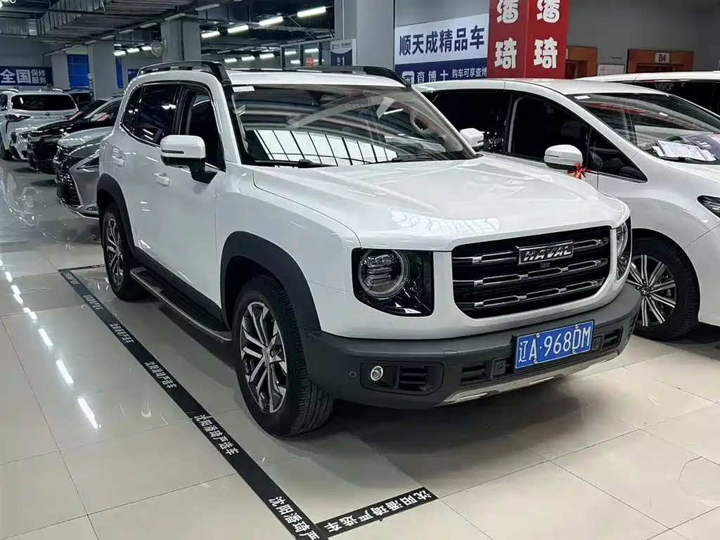 Haval Big Dog 2021 — фото 3