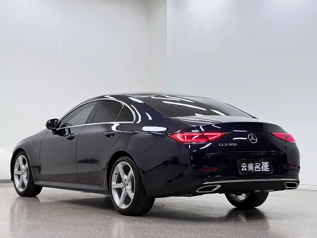 Mercedes-Benz CLS 2019 — фото 5