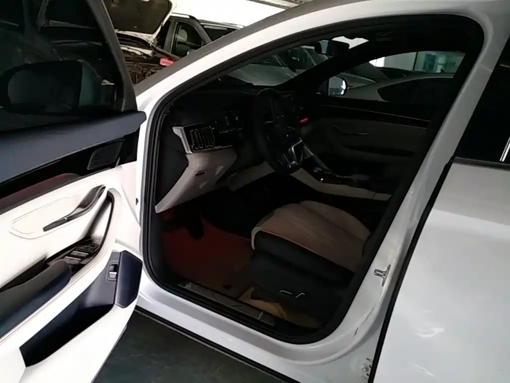 BYD PLUS New Energy 2023 — фото 16