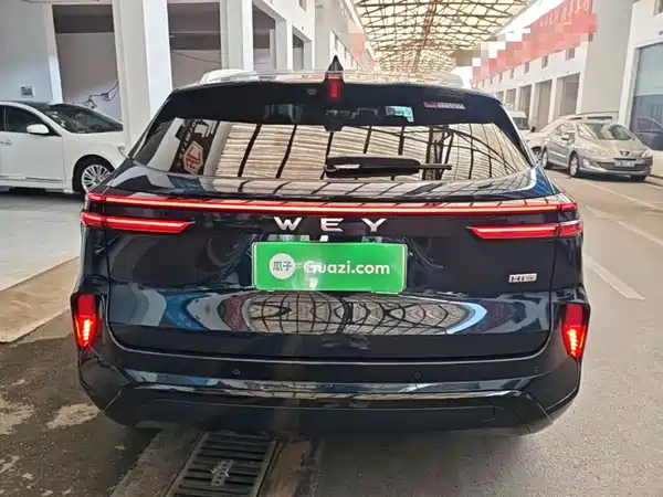 Wey Weipai Mocha New Energy 2024