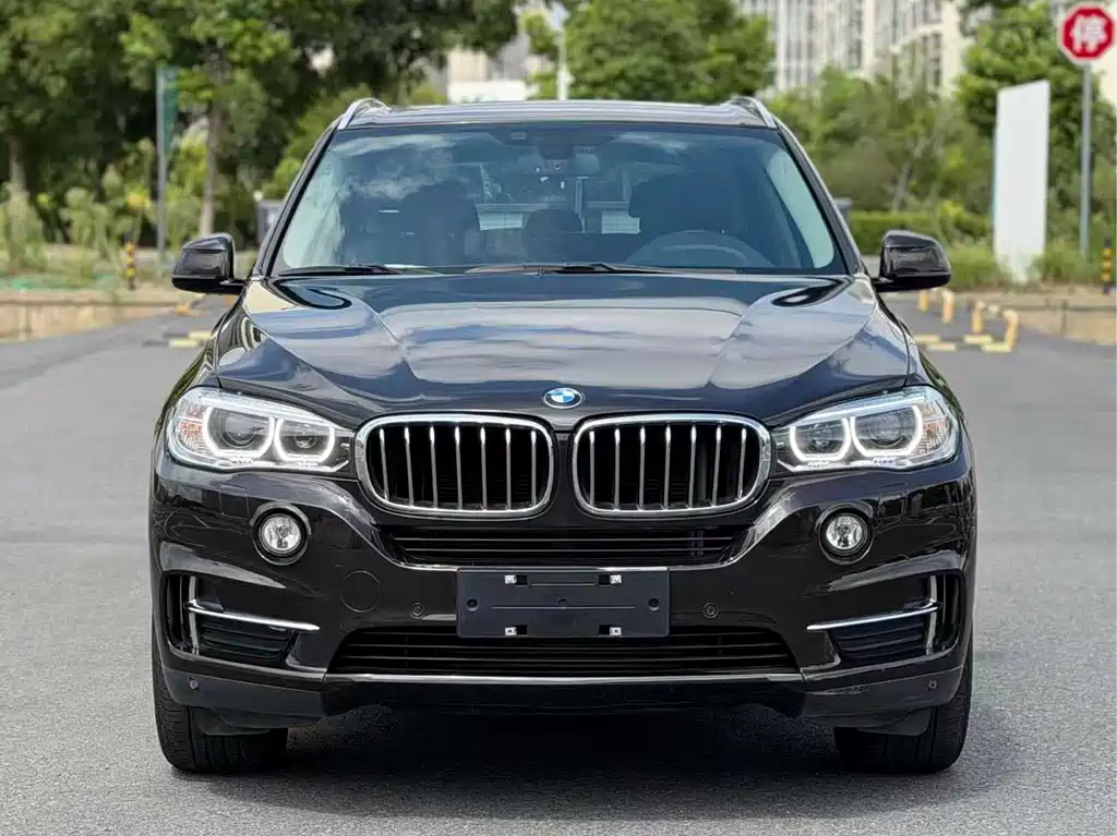 BMW X5 2017 — фото 2
