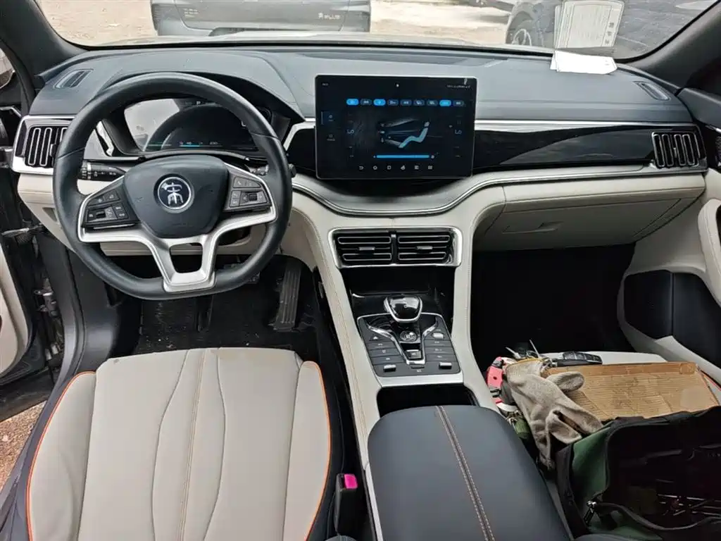 BYD PLUS New Energy 2022 — фото 10