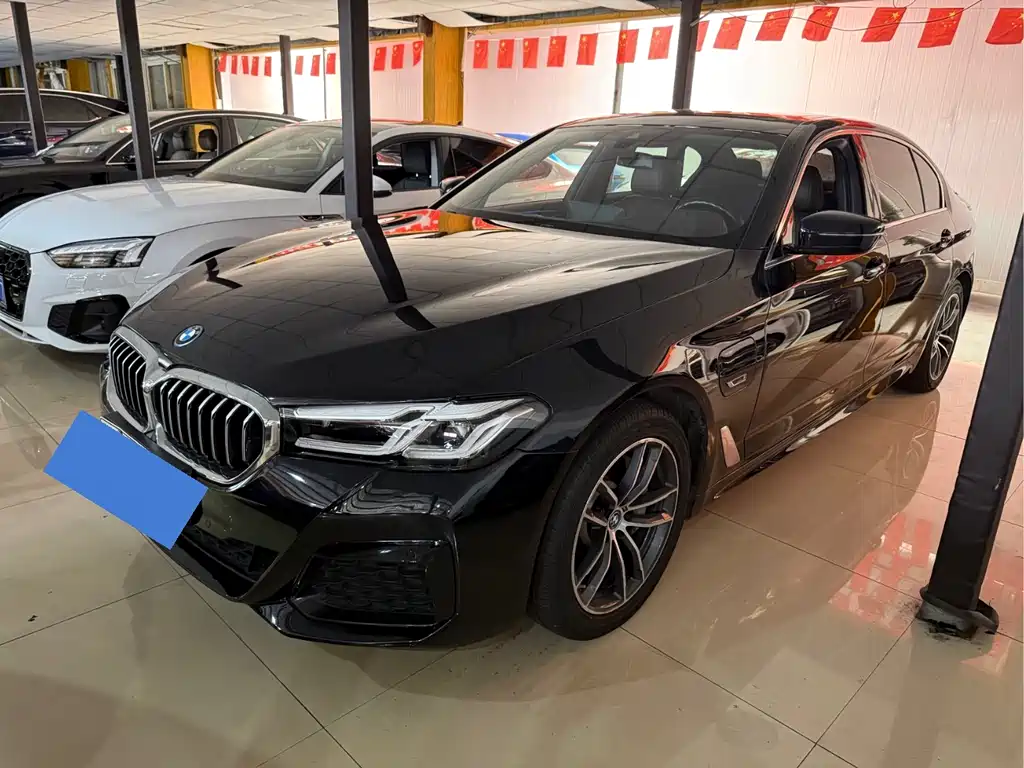 BMW 5 Series New Energy 2023