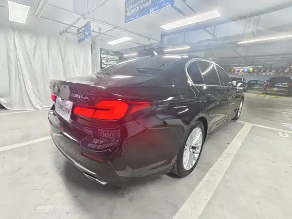 BMW 5 Series New Energy 2021