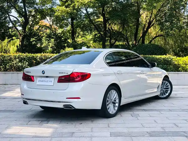 BMW 5 Series New Energy 2020