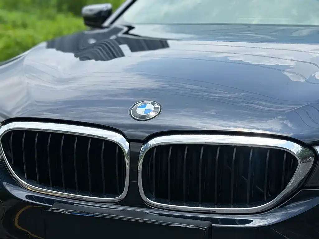 BMW 5 Series 2018 — фото 10