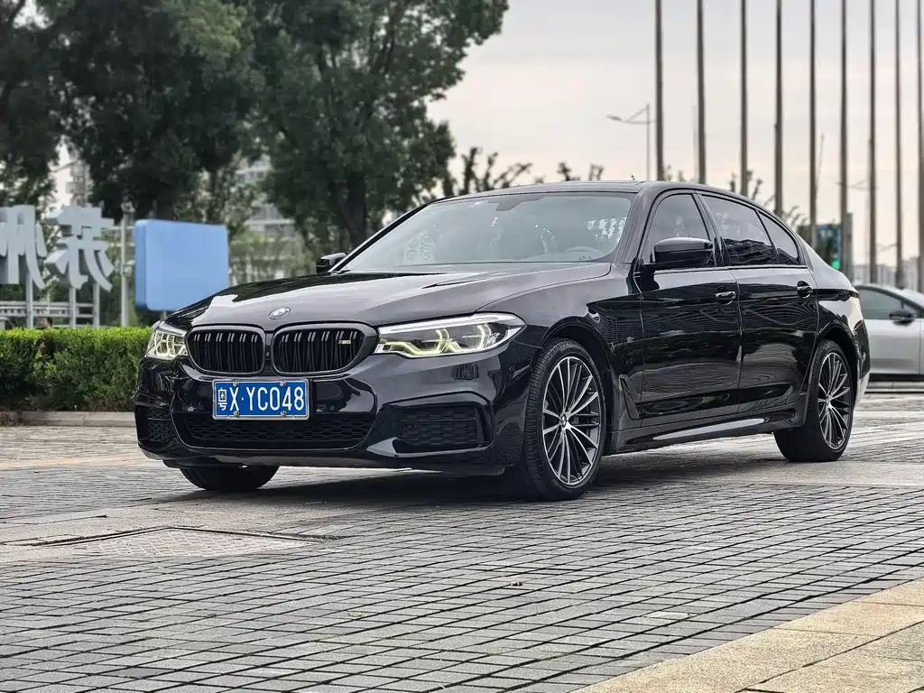 BMW 5 Series 2019
