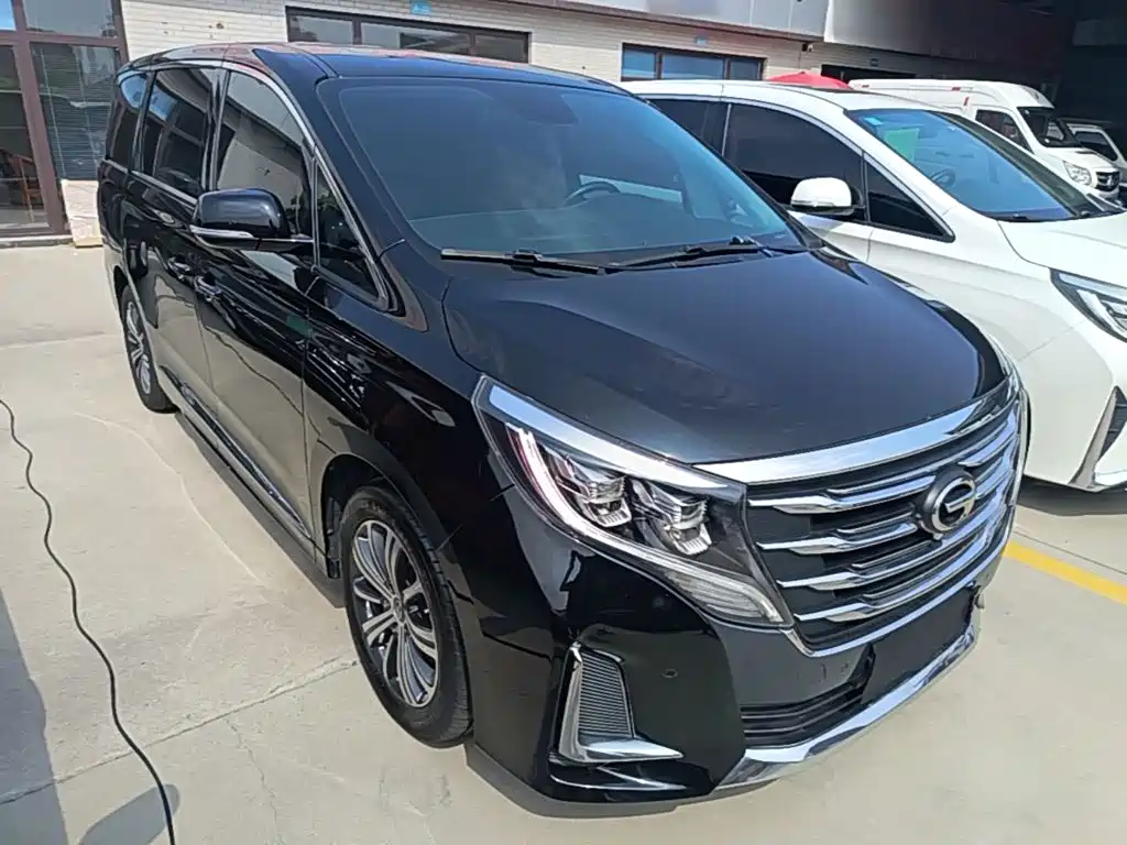 GAC Trumpchi M8 2020 — фото 4