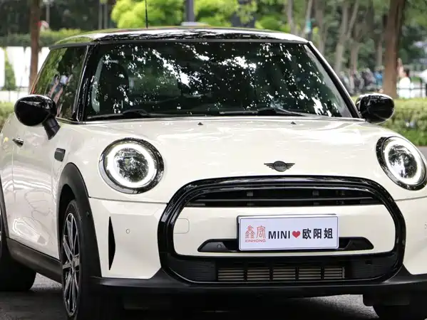 MINI MINI 2022