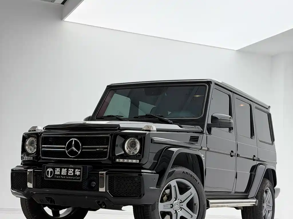 Mercedes-Benz G-Class 2018 — фото 12