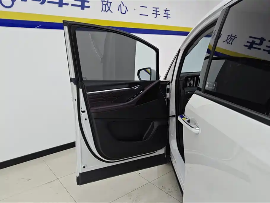 GAC Motor Trumpchi M8 2024 — фото 7