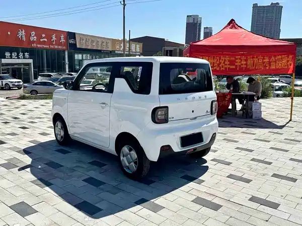 Geely Galaxy Panda 2024