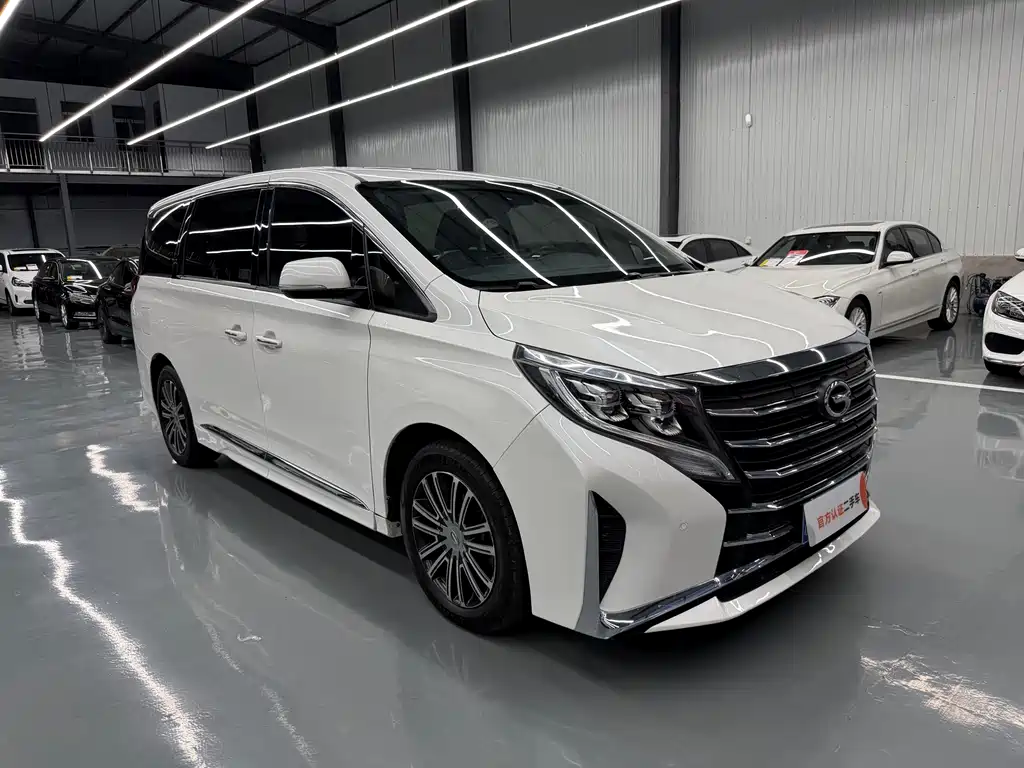 GAC Motor Trumpchi M8 2021 — фото 3