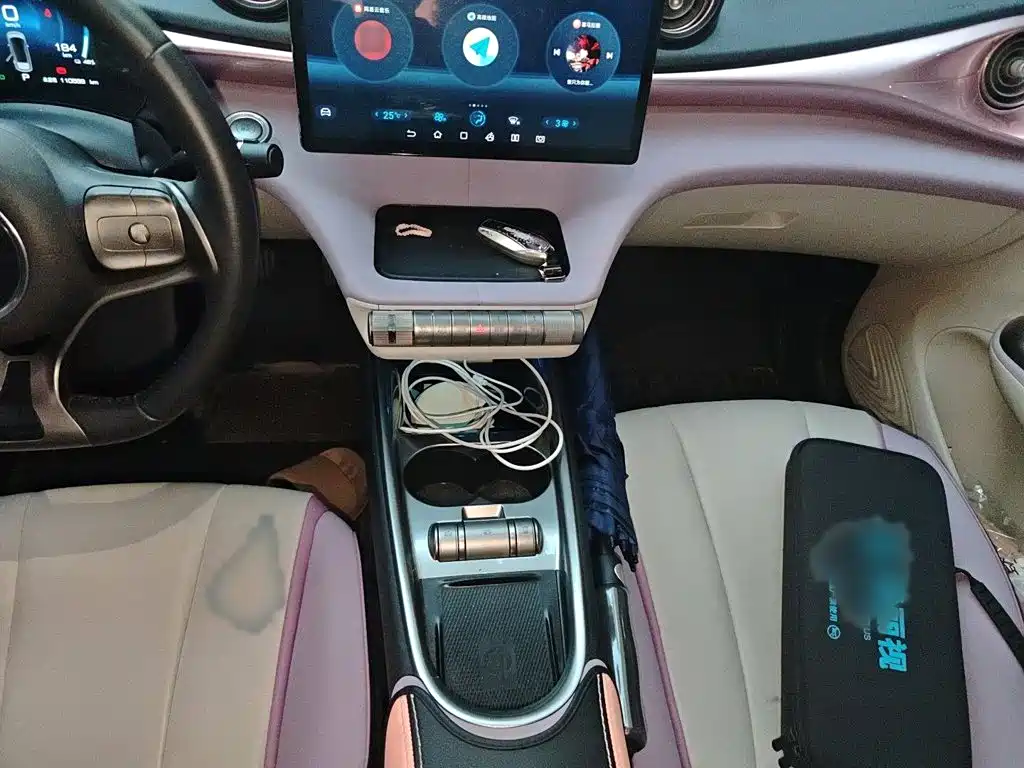 BYD Dolphin 2022