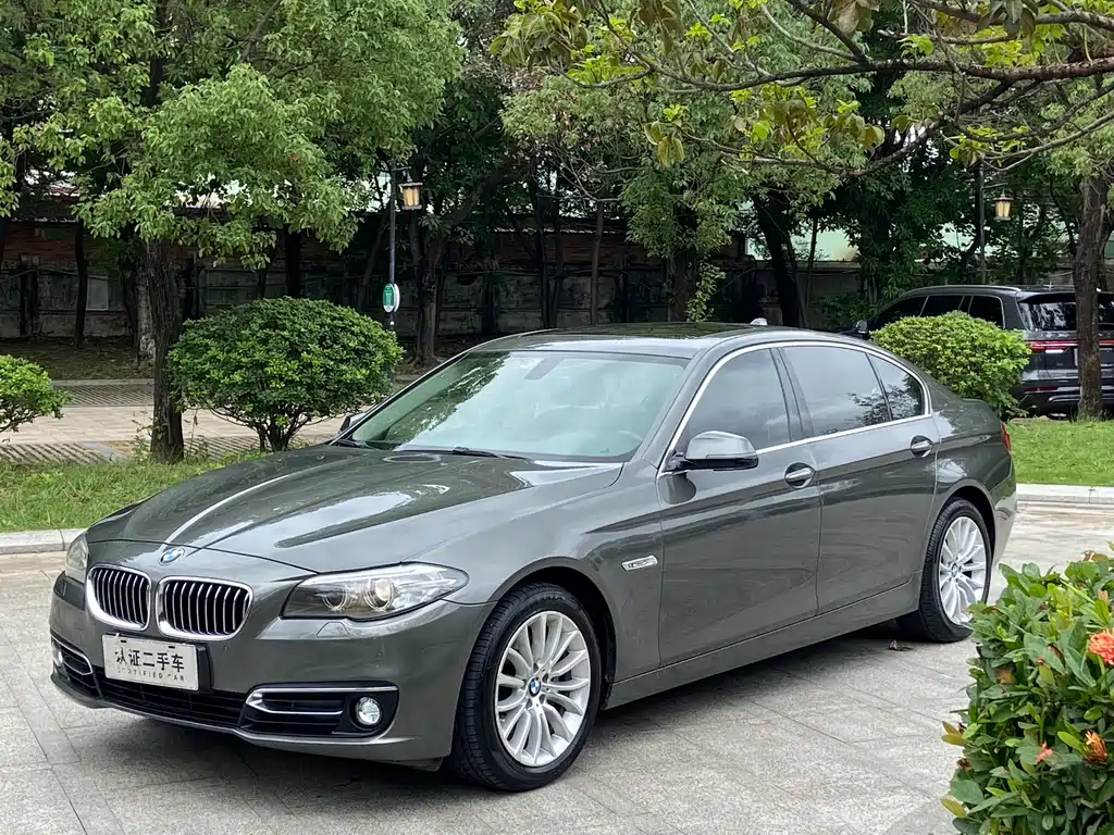 BMW 5 Series 2014 — фото 1