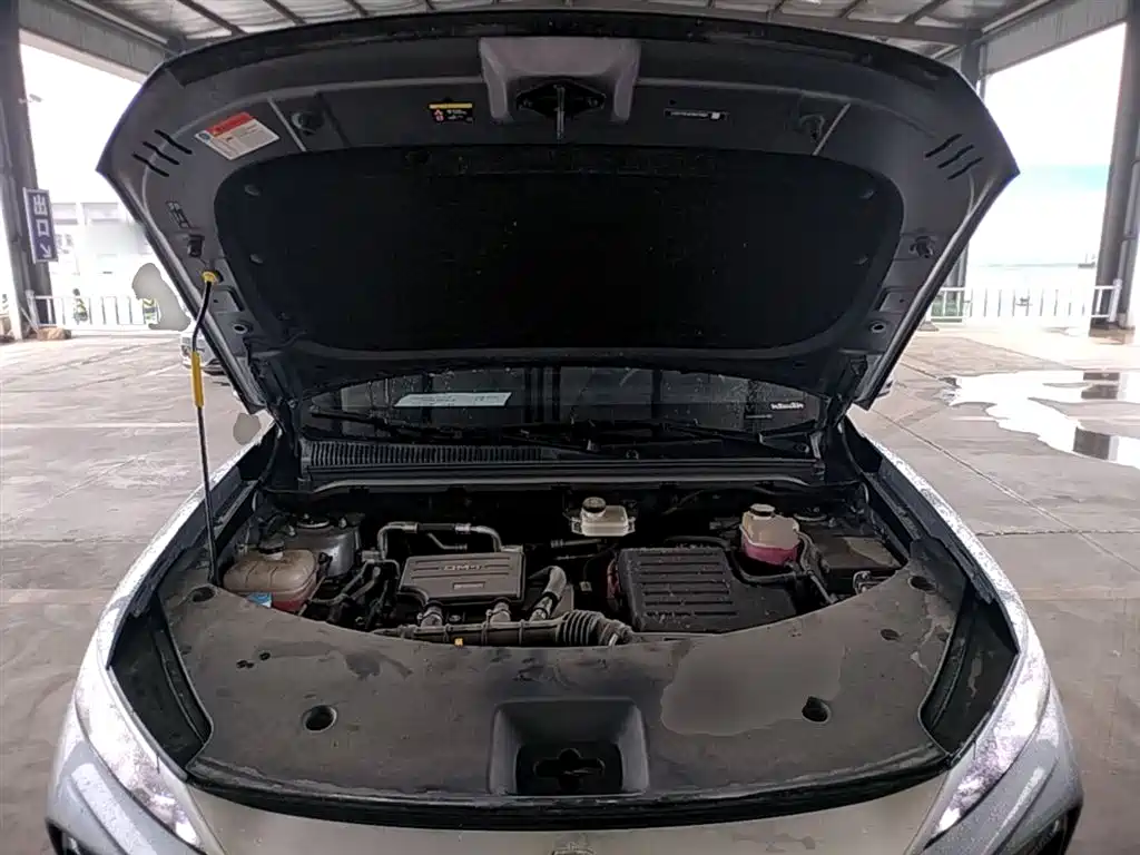 BYD Pro New Energy 2025 — фото 16