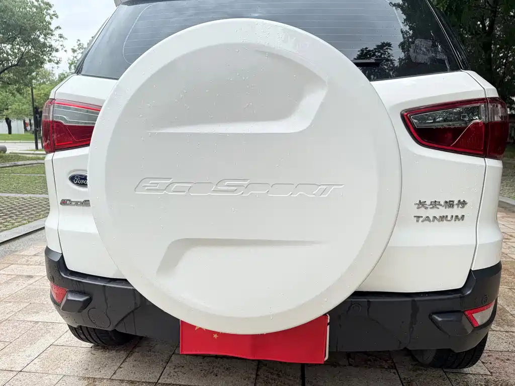 Ford Ecosport 2015 — фото 20