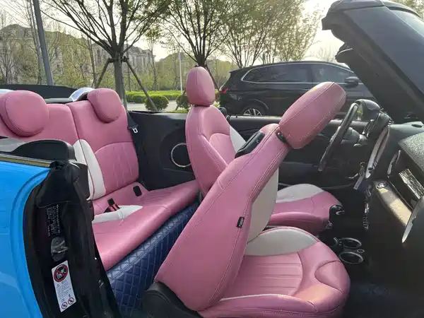 MINI 2012