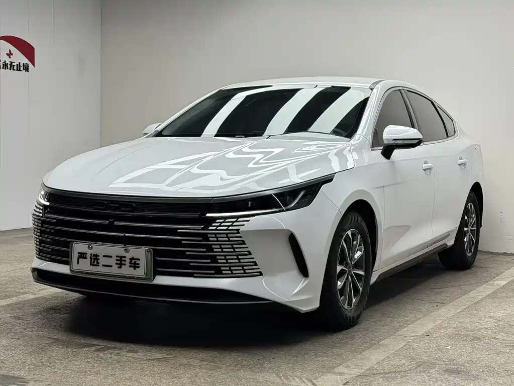 BYD Destroyer 05 2024 — фото 1