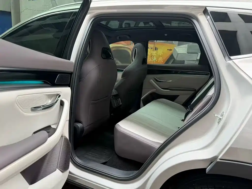 BYD Song PLUS New Energy 2024 — фото 8