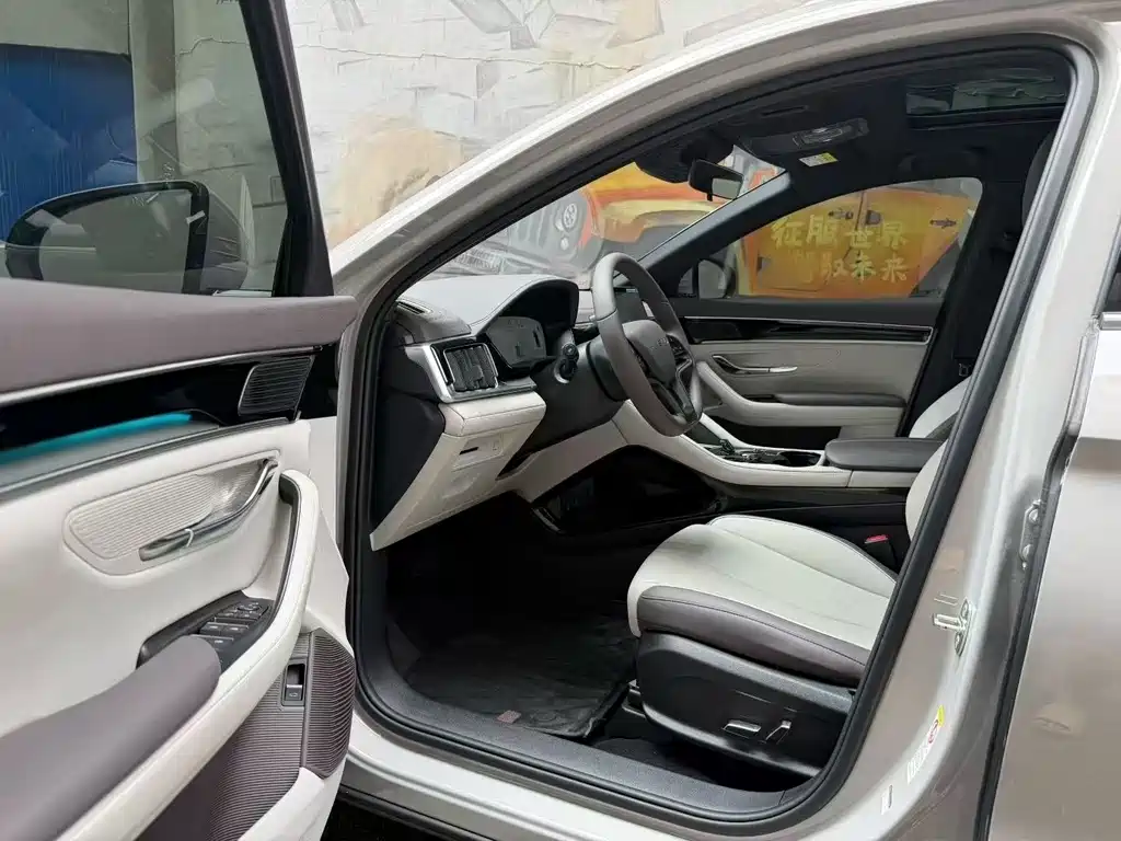 BYD Song PLUS New Energy 2024 — фото 7
