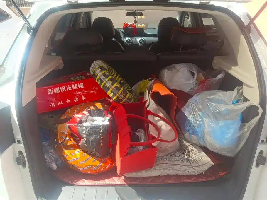 BAIC Zhixing 2019