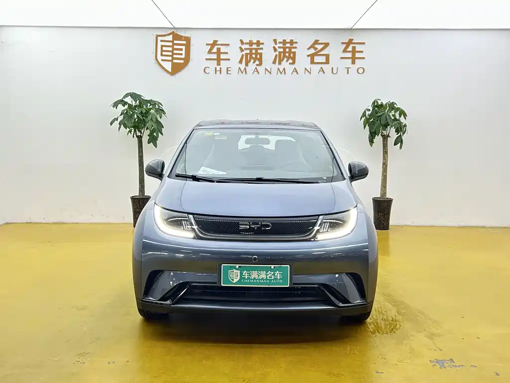 BYD Dolphin 2026