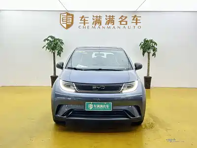 BYD Dolphin 2026