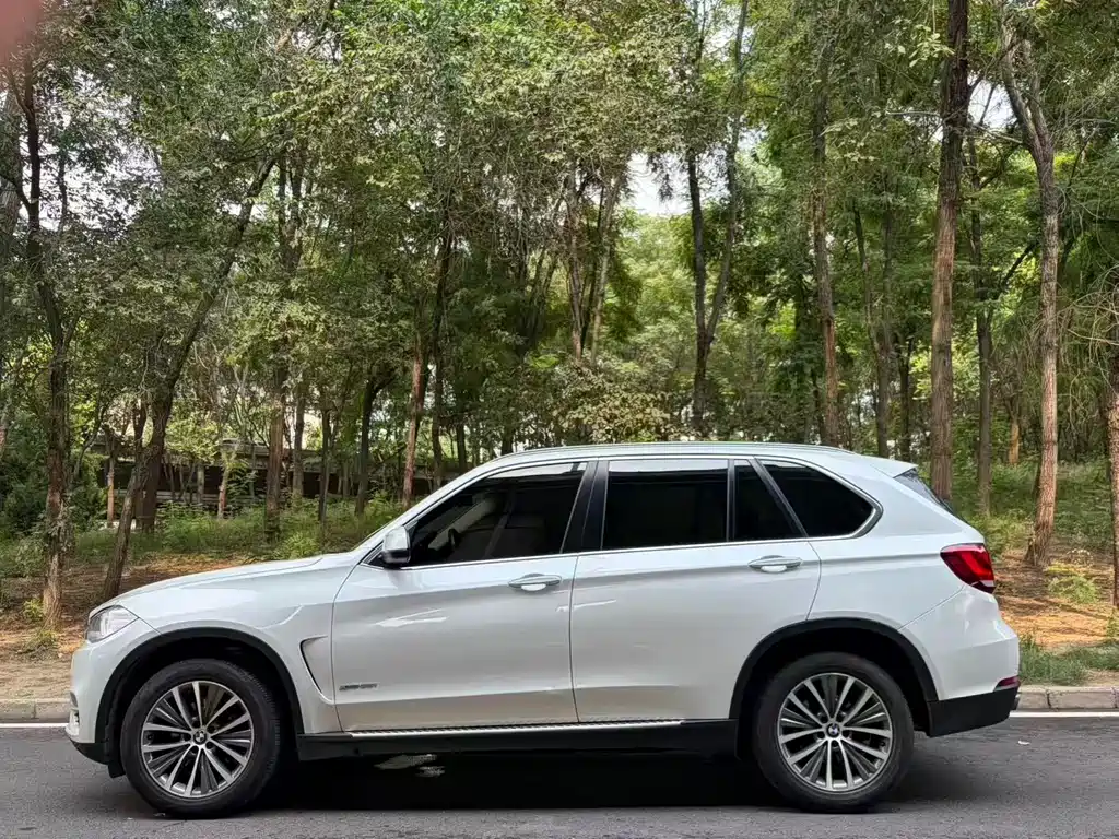 BMW X5 2014