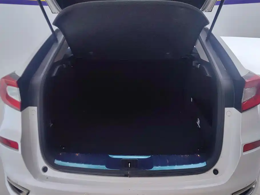 Honda Avancier 2019