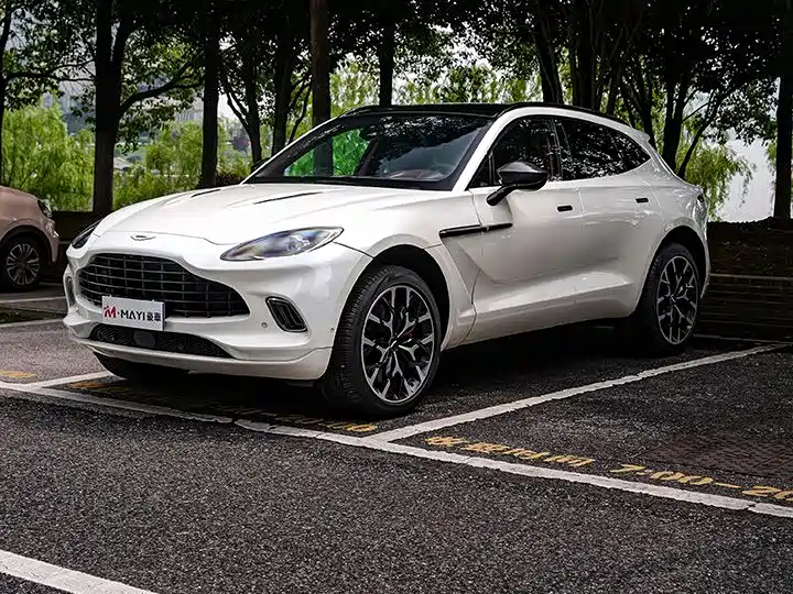 Aston Martin DBX 2020 — фото 7
