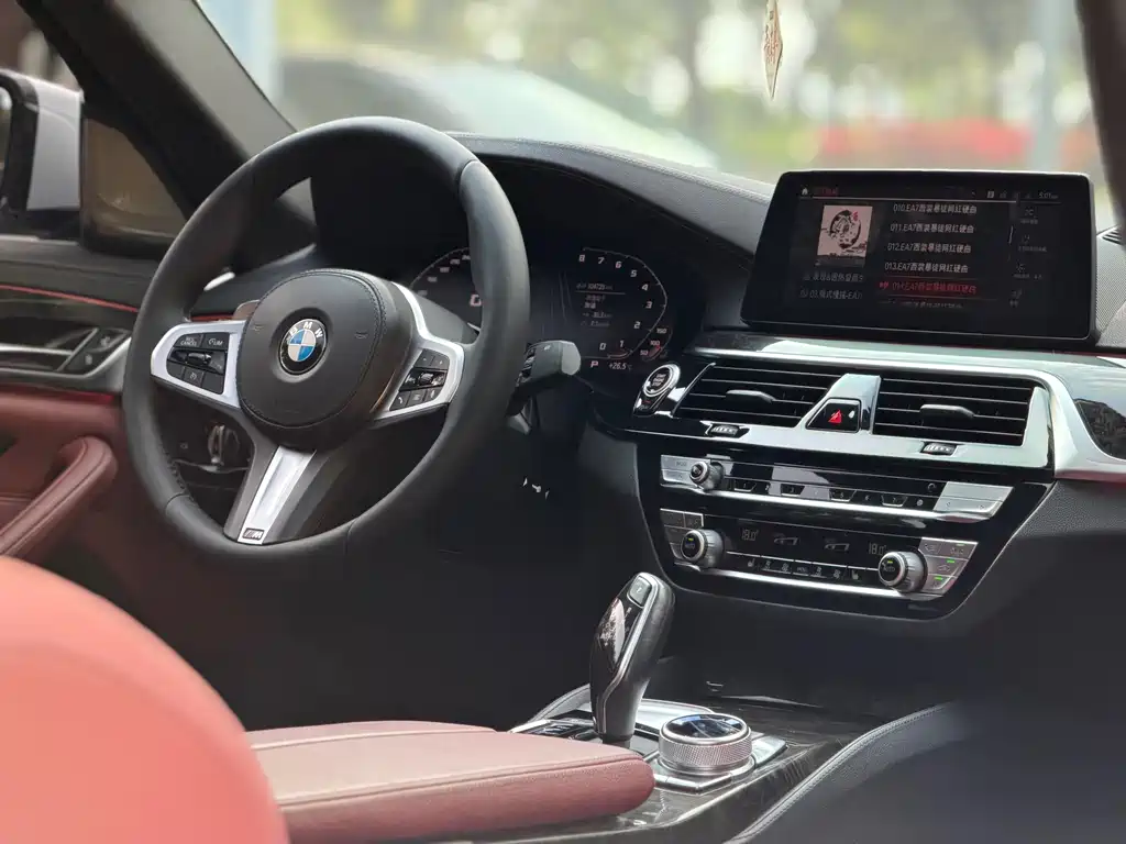 BMW 5 Series 2019 — фото 9