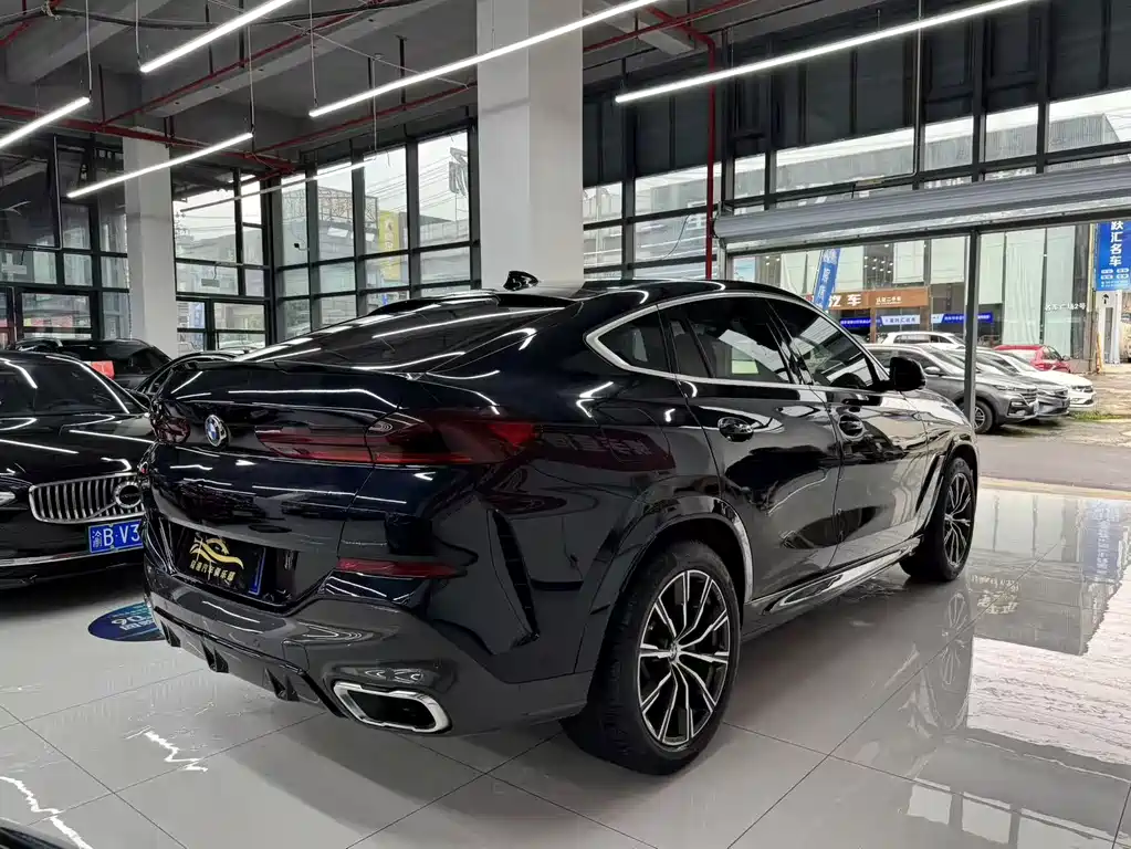 BMW X6 2020 — фото 14