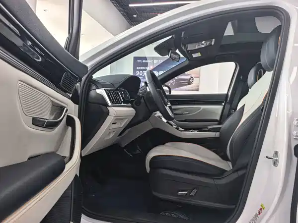 BYD Song PLUS New Energy 2022
