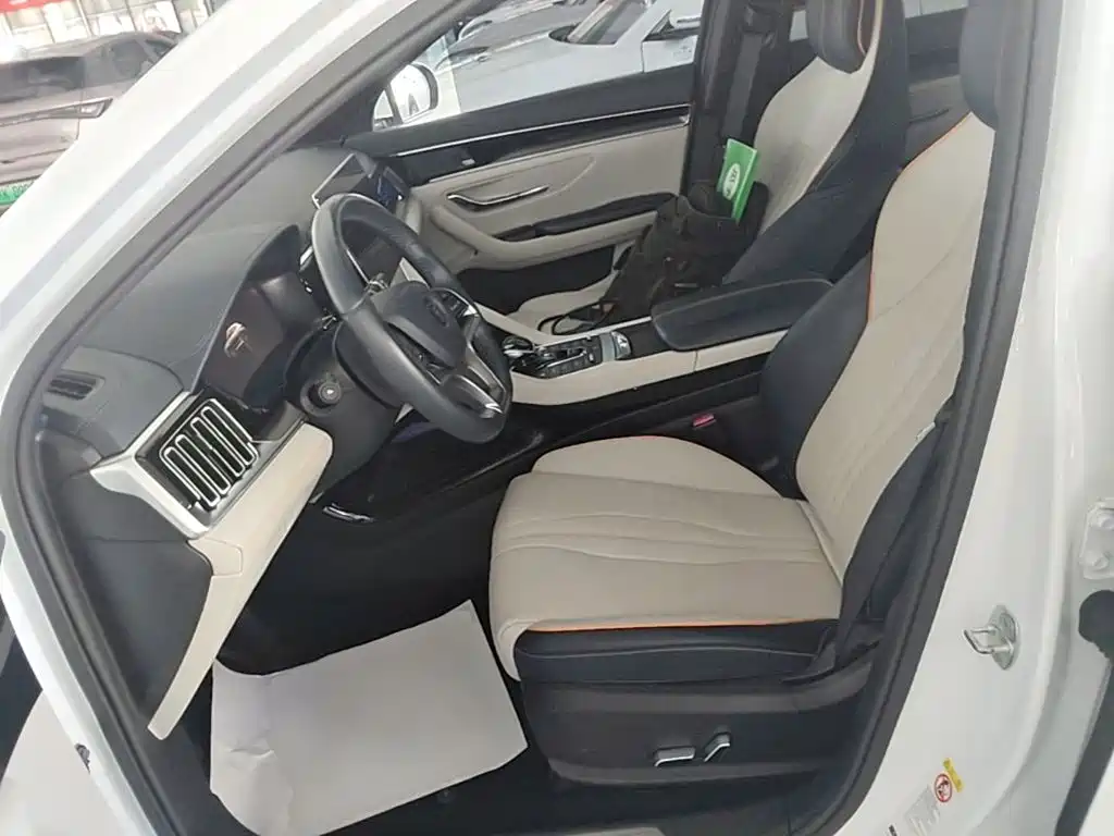 BYD Song PLUS New Energy 2022 — фото 15