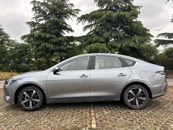 BYD Destroyer 05 2024