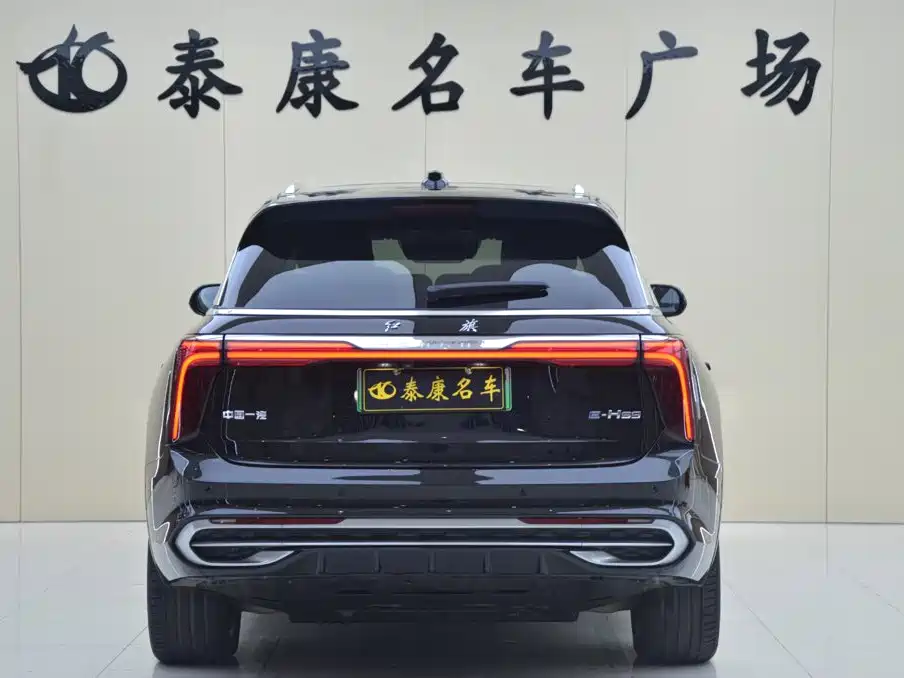 Hongqi E-HS9 2023 — фото 3