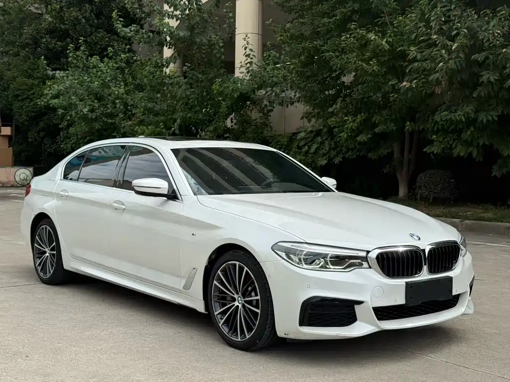 BMW 5 Series 2019