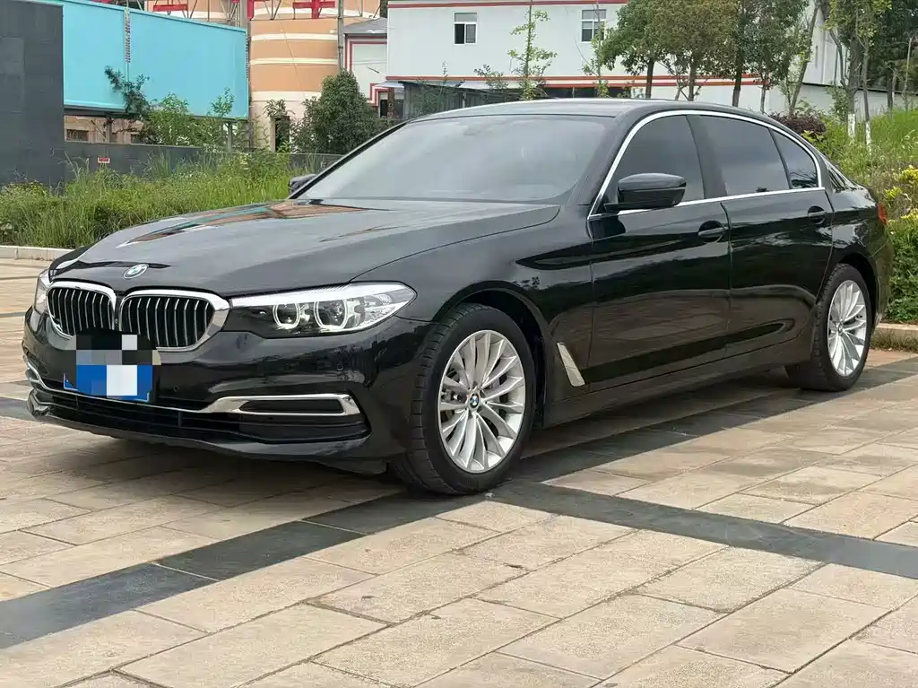 BMW 5 Series 2019